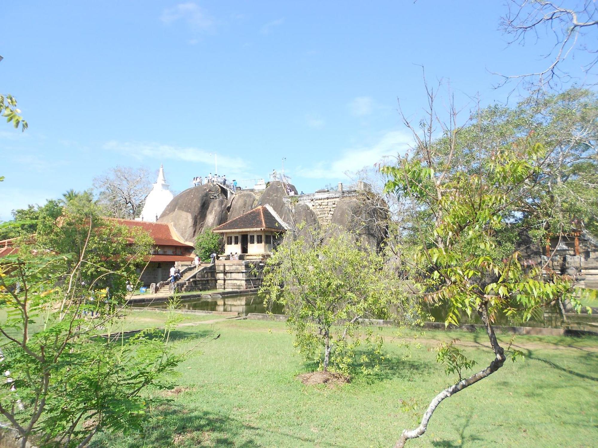 Shanith Guesthouse Negombo Ngoại thất bức ảnh